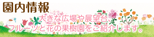 園内情報 たくさんの果実やみんなで遊べる大きな広場