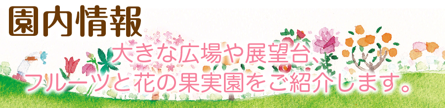 園内情報